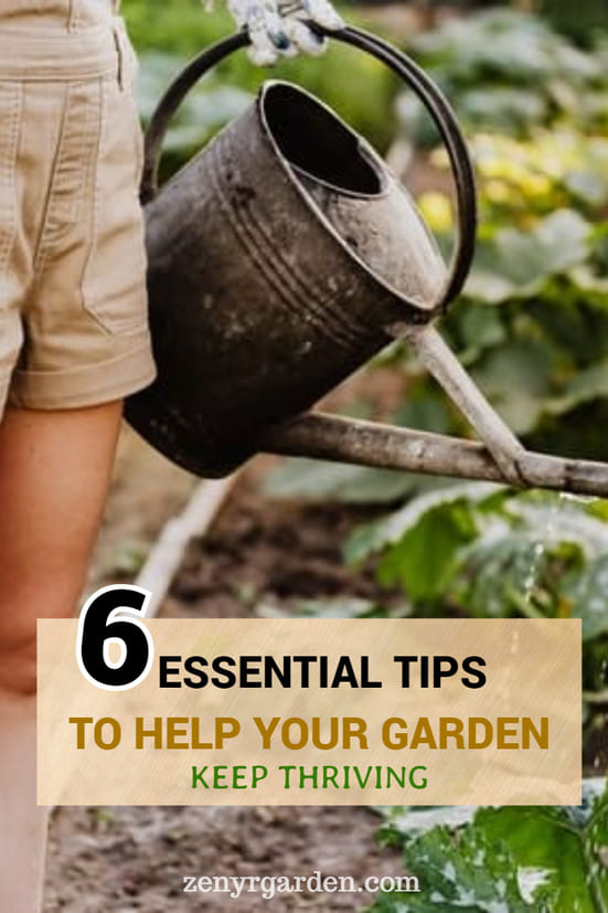 6 Essential Tips To Help Your Garden Keep Thriving